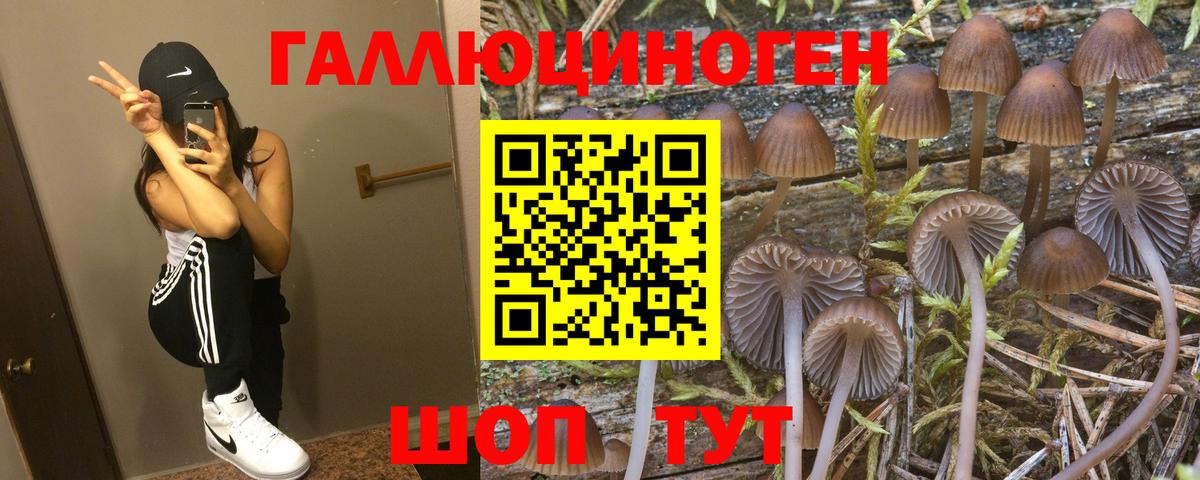 Псилоцибиновые грибы MAGIC MUSHROOMS Ухта