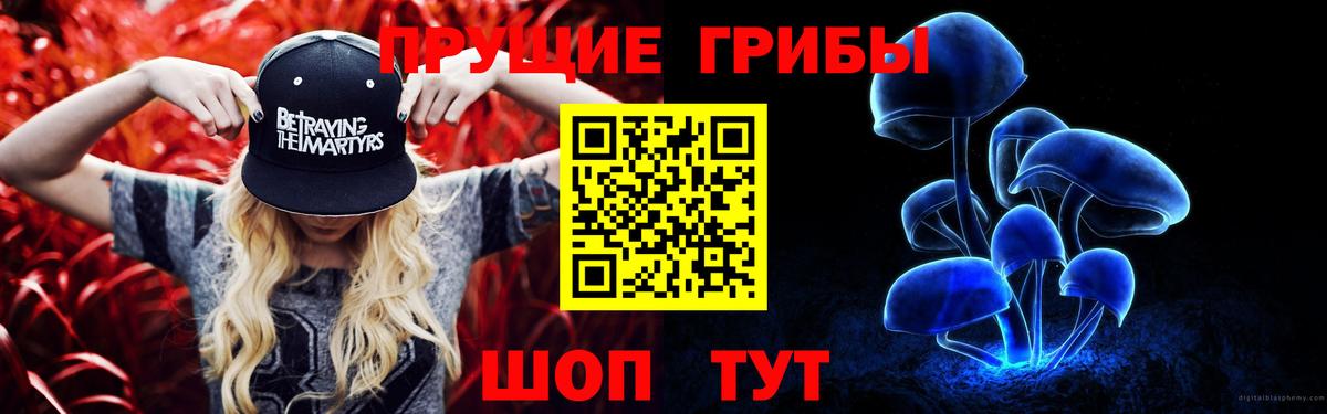 Псилоцибиновые грибы Psilocybine cubensis  купить   Ухта  Вход с VPN 